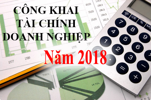 Báo cáo tài chính doanh nghiệp năm 2018