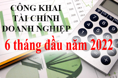 Báo cáo tài chính 6 tháng đầu năm 2022
